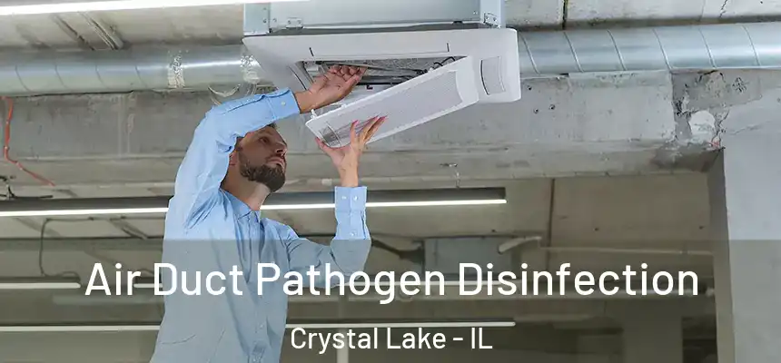  Air Duct Pathogen Disinfection Crystal Lake - IL