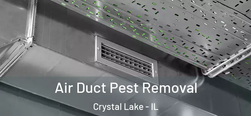 Air Duct Pest Removal Crystal Lake - IL