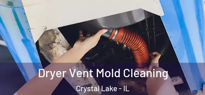  Dryer Vent Mold Cleaning Crystal Lake - IL