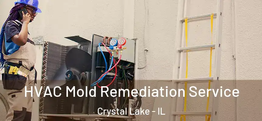  HVAC Mold Remediation Service Crystal Lake - IL