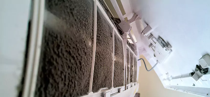 Preventive Air Duct Bacteria Removal in Crystal Lake