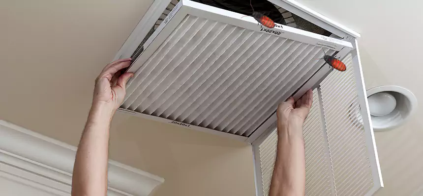 Preventive Cockroach-Proofing for Ducts in Crystal Lake