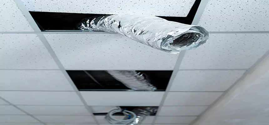 Affordable HVAC Sanitizing After Pest Removal in Crystal Lake