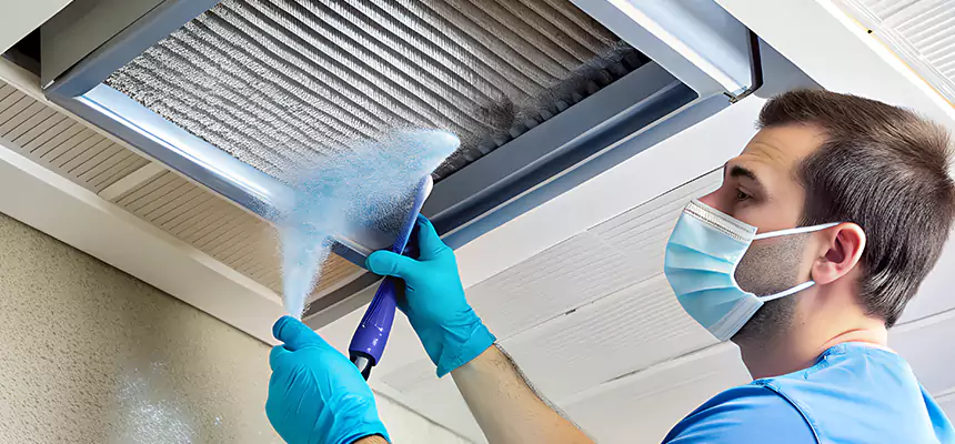 Proactive Dryer Vent & Auxiliary Duct Pollen Cleanup in Crystal Lake, IL