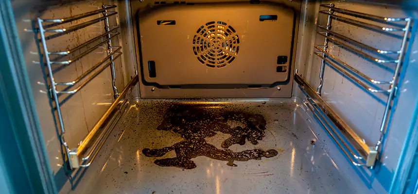 Our Dryer Vent Mold Cleaning Services in Crystal Lake, IL