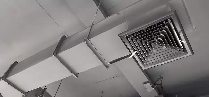 Our Pest Removal From Ducts Services in Crystal Lake, IL