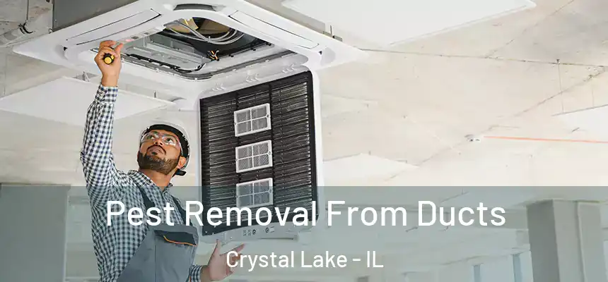  Pest Removal From Ducts Crystal Lake - IL