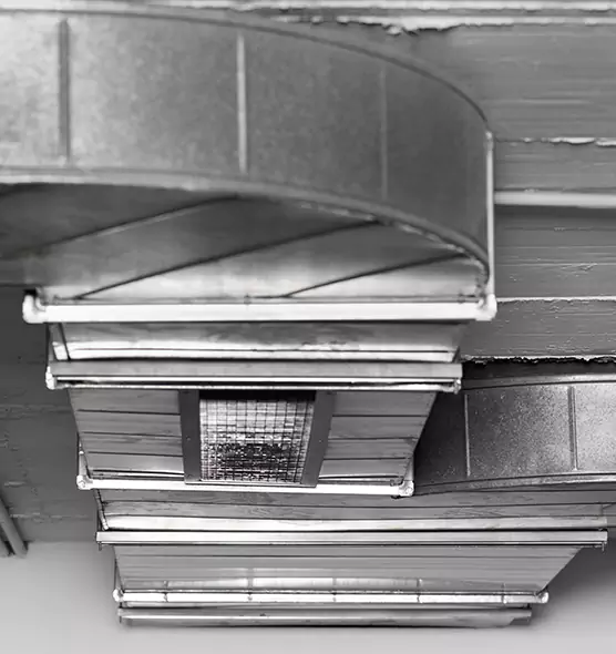 Professional Air Duct Pet Hair Removal in Crystal Lake, IL