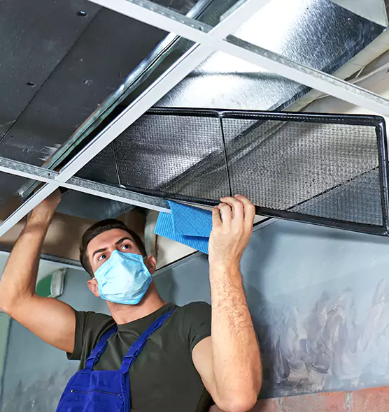 Professional Air Duct Pollen Cleaning in Crystal Lake, IL