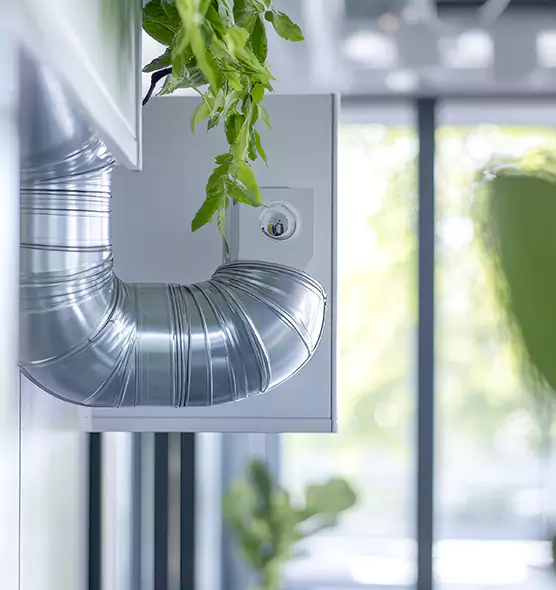 Professional Eco-Friendly Duct Cleaning Services in Crystal Lake, IL