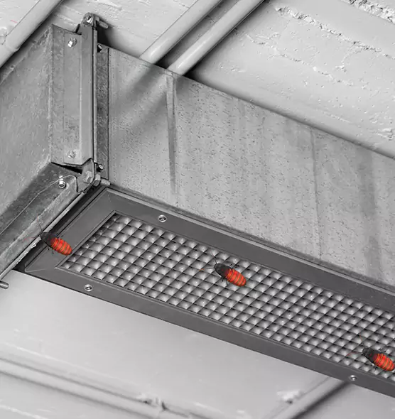 Affordable Insect Removal from Air Ducts in Crystal Lake, IL