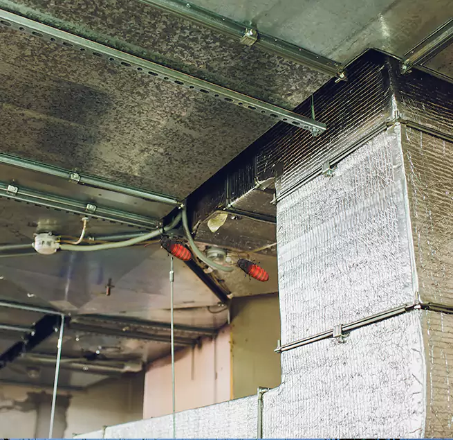 Why Homeowners & Businesses Trust Us in Crystal Lake, IL?