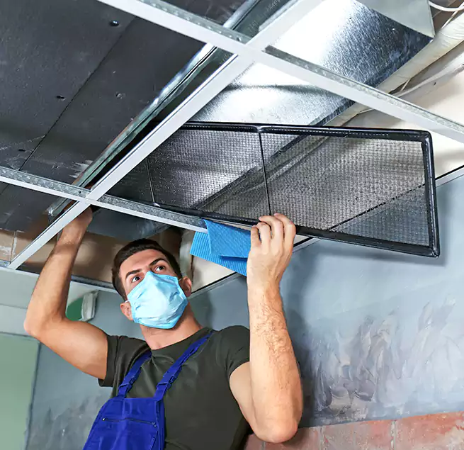 Why Homeowners Businesses Trust Us in Crystal Lake, IL