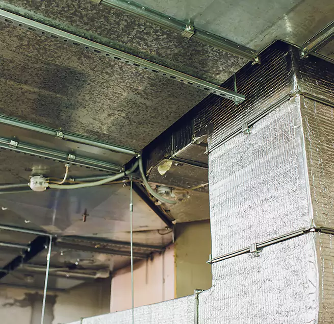 Why Homeowners & Businesses Trust Us in Crystal Lake, IL?